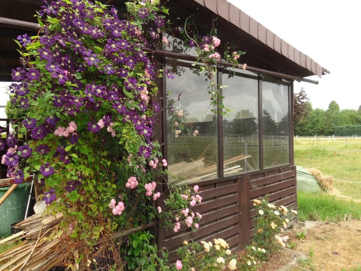 Ferienwohnung Gruenewaldstrasse 22 บึนเดอ ภายนอก รูปภาพ